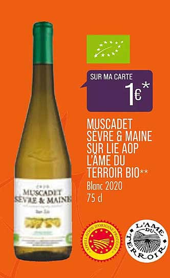 muscadet sèvre & maine sur lie aop l'âme du terroir bio
