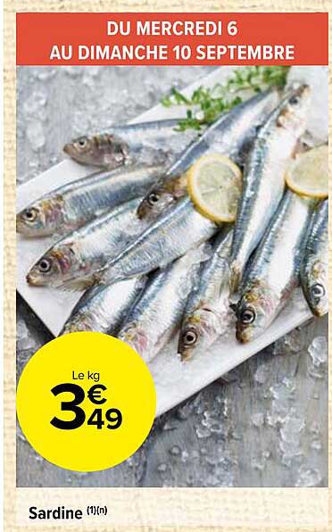 Sardine