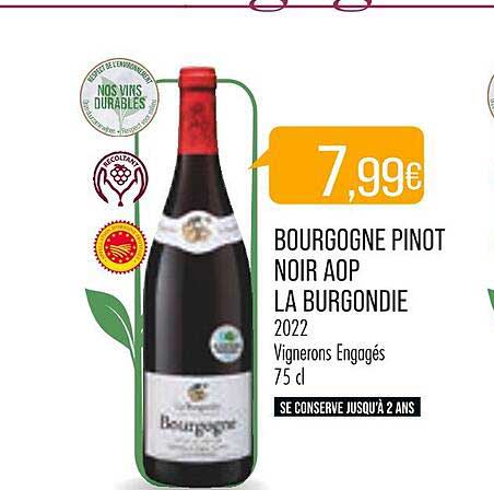 bourgogne pinot noir aop la burgondie 2022