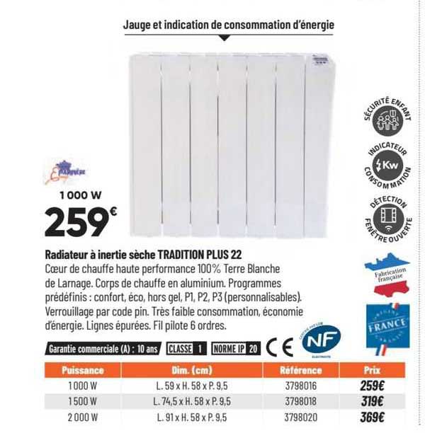 Radiateur à Inertie Sèche Tradition Plus 22