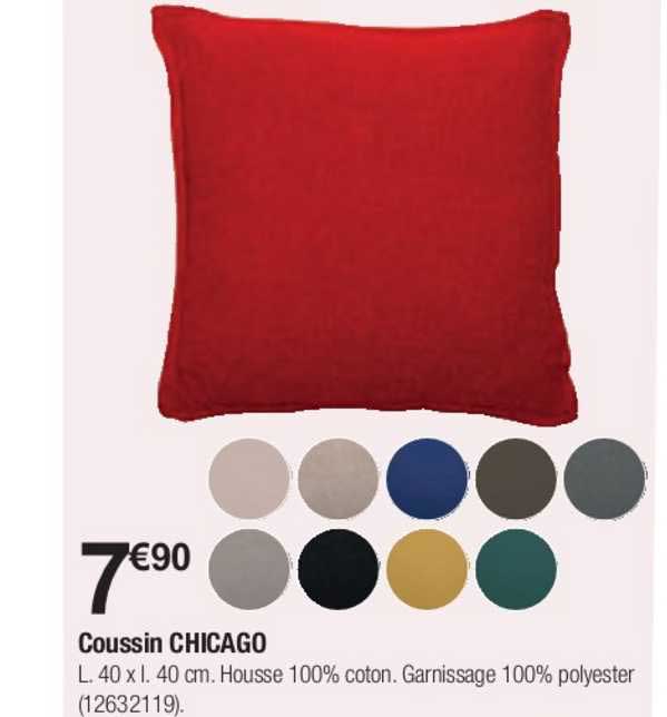Coussin Chicago