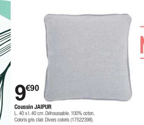 coussin jaipur