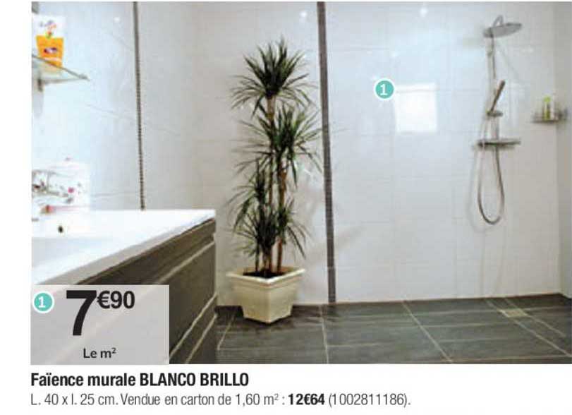 faïence murale blanco brillo