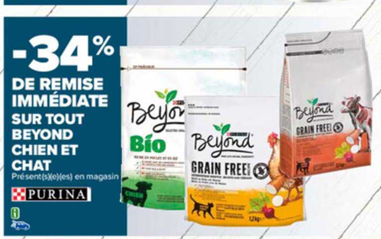 beyond chien et chat