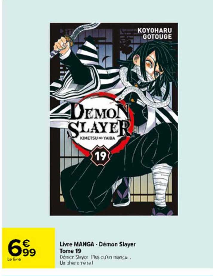 livre manga - démon slayer tome 19