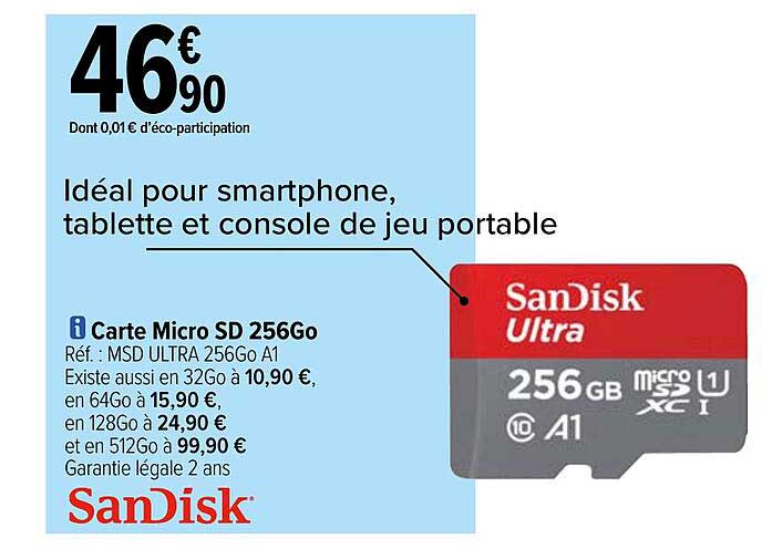 carte micro sd 256go sanDisk