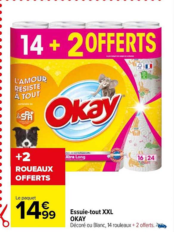 essuie-tout xxl okay