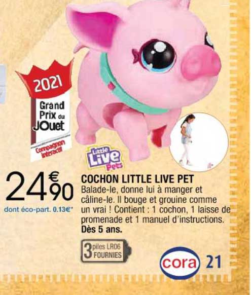 cochon little live pet