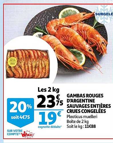 gambas rouges d'argentine sauvages entières crues congelées