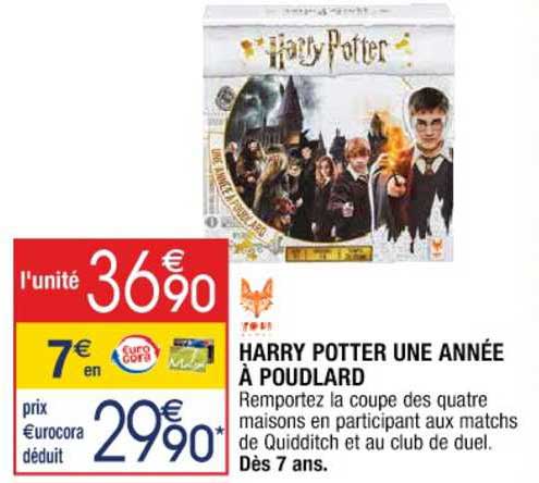harry potter une année à poudlard