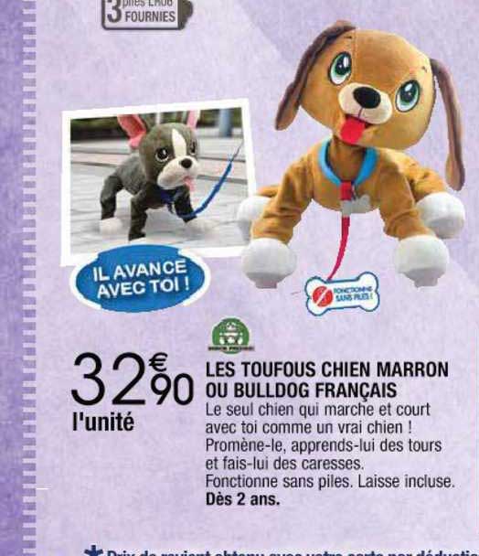 les toufous chien marron ou bulldog français