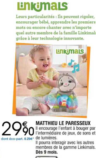 matthieu le paresseux