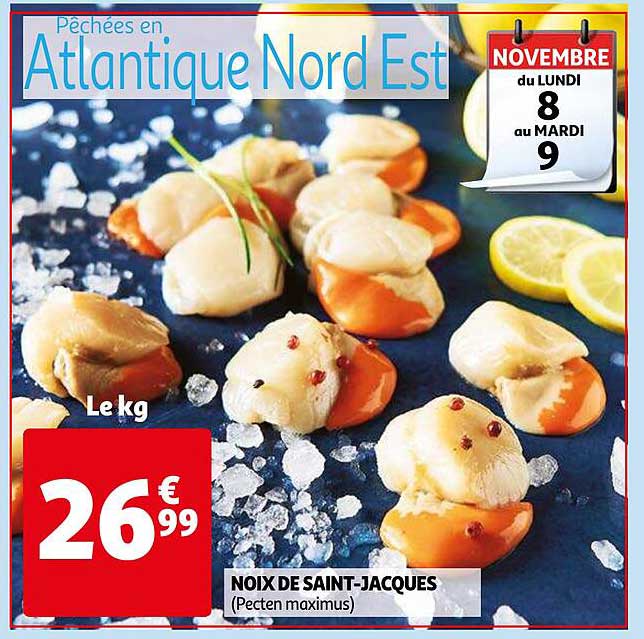 noix de saint-jacques