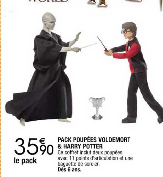 pack poupées voldemort & harry potter