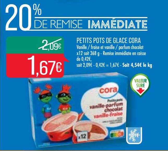 petits pots de glace cora
