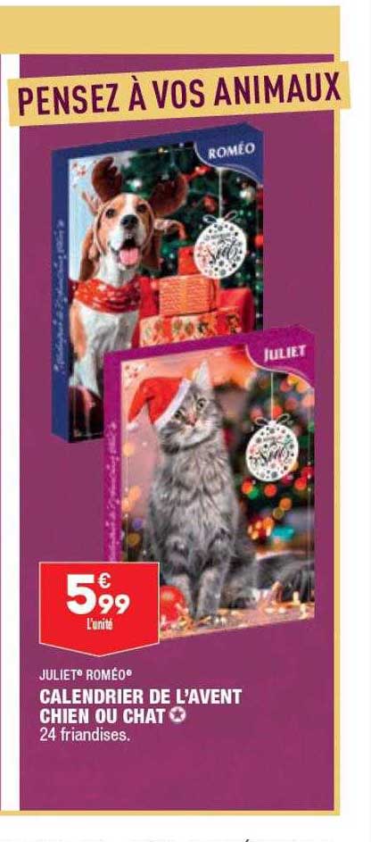 calendrier de l'avent chien ou chat julie roméo
