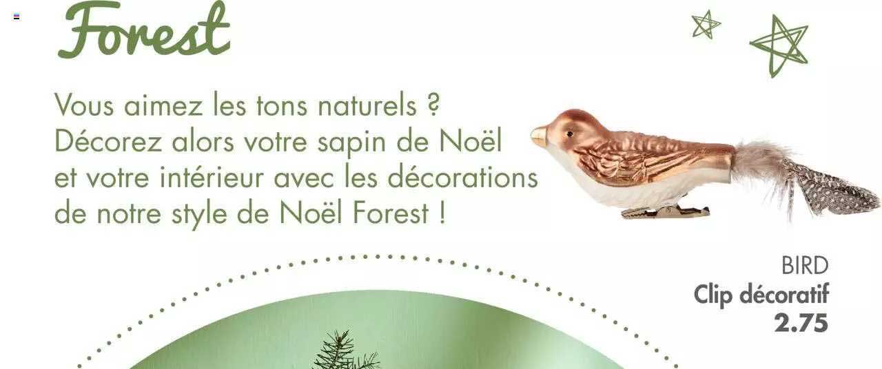 clip décoratif bird