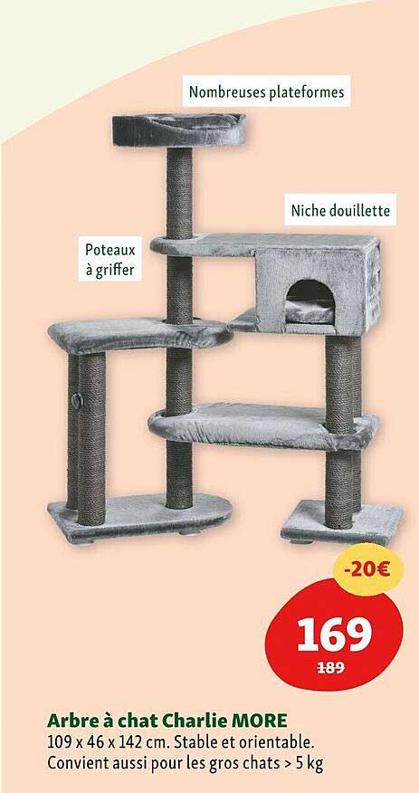 arbre à chat charlie more