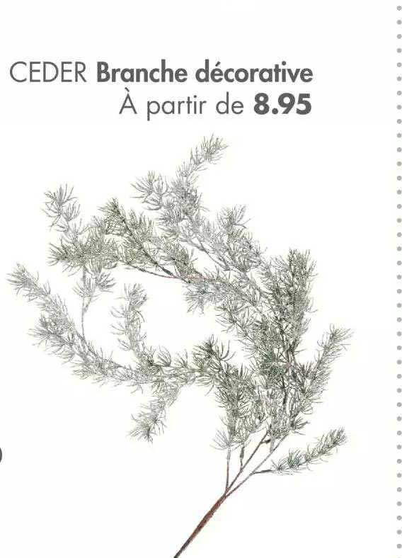 branche décorative ceder