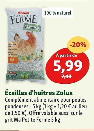 écailles d'huîtres zolux