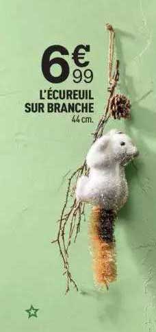 l'écureuil sur branche