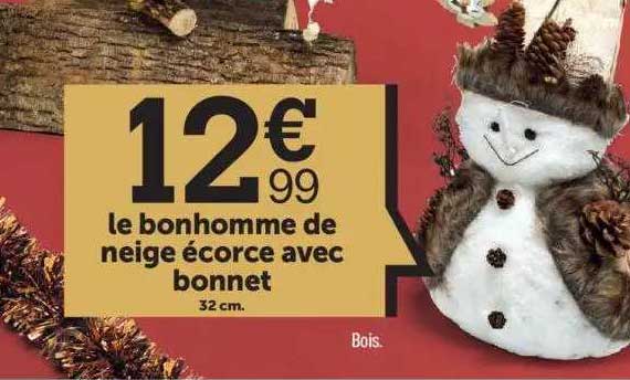 Le Bonhomme De Neige écorce Avec Bonnet