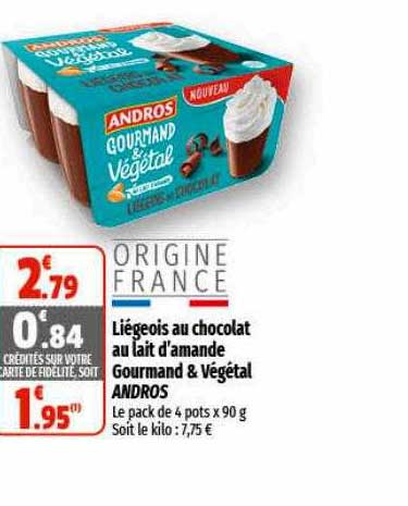 liégeois au chocolat au lait d'amande gourmand & végétal andros