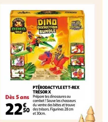 ptérodactyle et t-rex trésor x