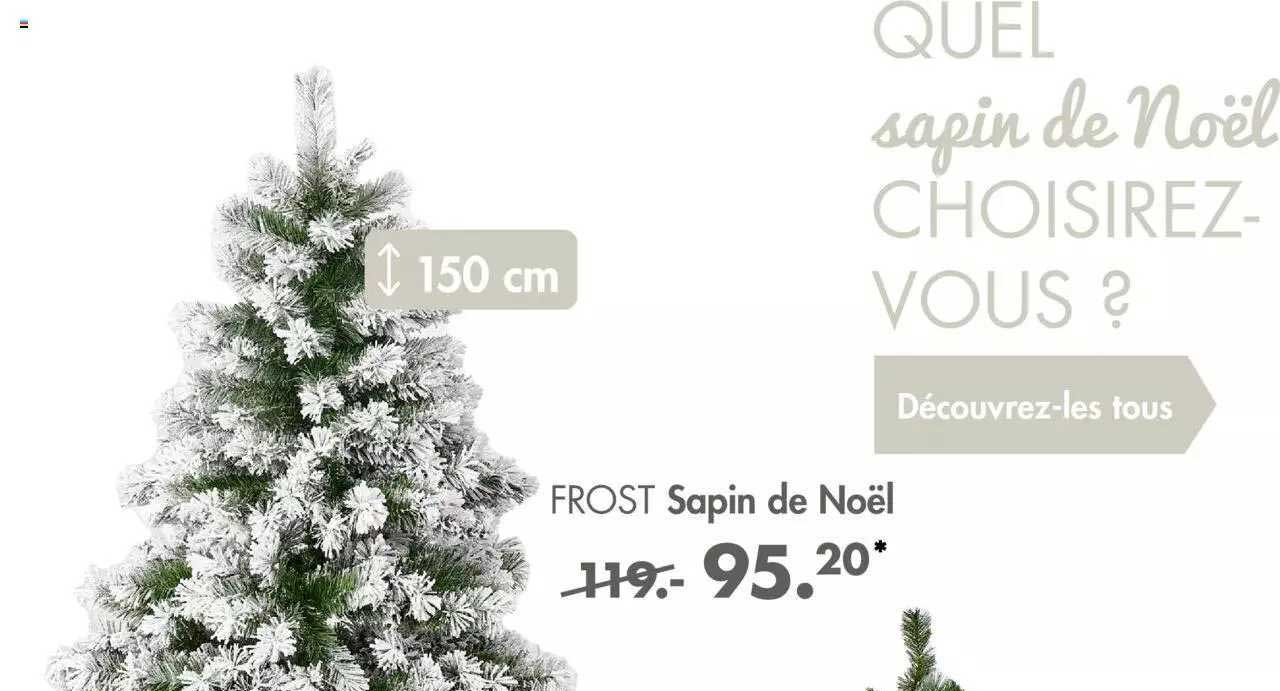 Sapin De Noël Frost
