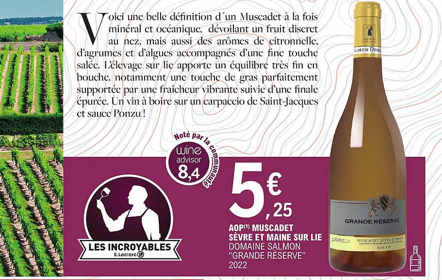 aop muscadet sèvre et maine sur lie domaine salmon "grande réserve" 2022