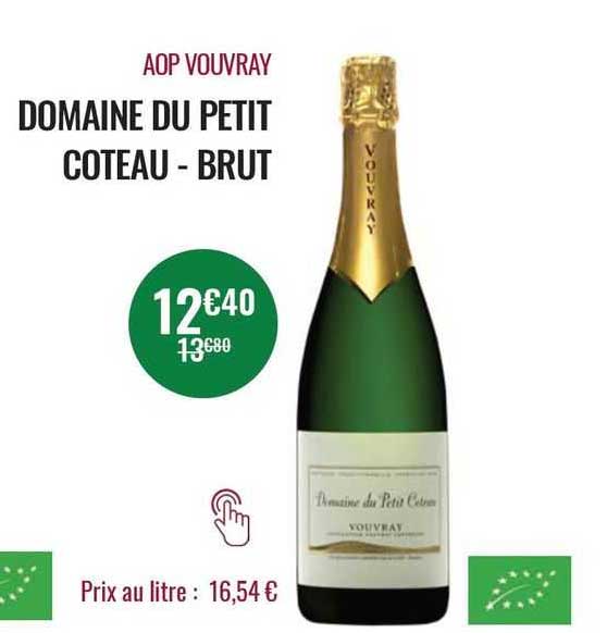 aop vouvray domaine du petit coteau - brut