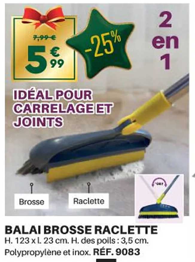 Balai Brosse Raclette