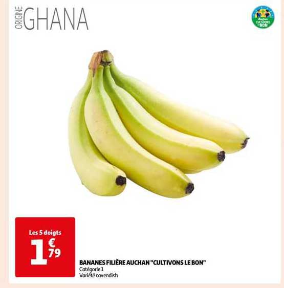 bananes filière auchan "cultivons le bon"