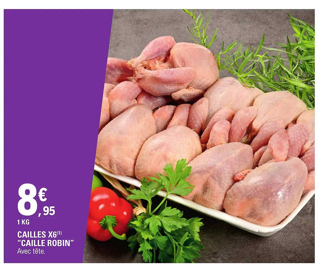 cailles x6 "caille robin"