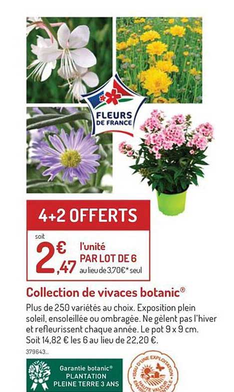 Collection De Vivaces Botanic
