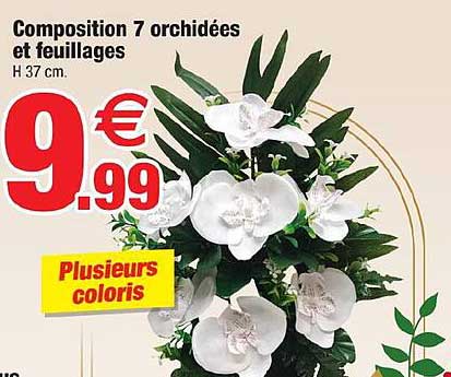 Composition 7 Orchidées Et Feuillages