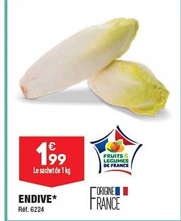Endive