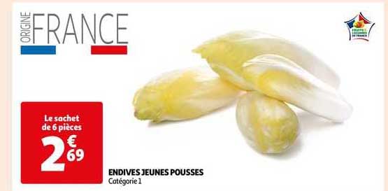 endives jeunes pousses