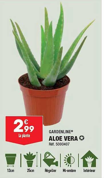 Gardenline Aloe Vera