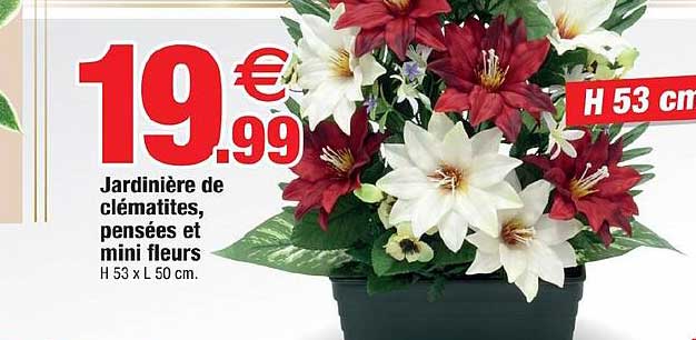 Jardinière De Clématites, Pensées Et Mini Fleurs