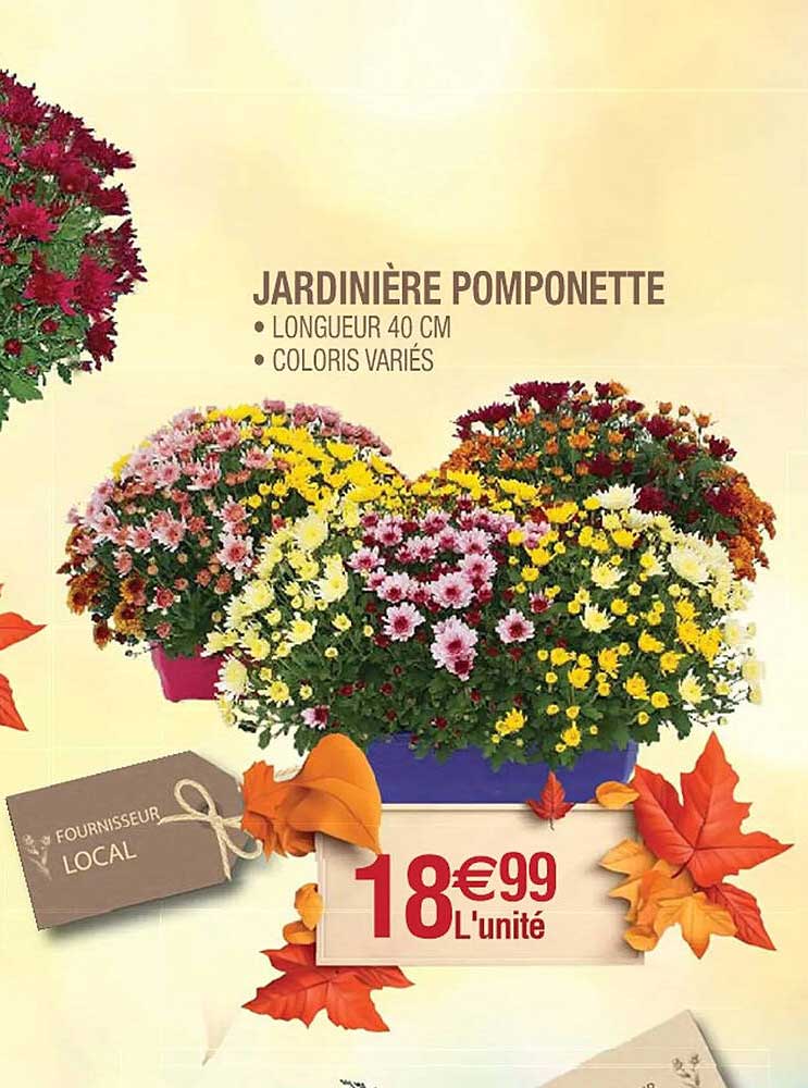 Jardinière Pomponette