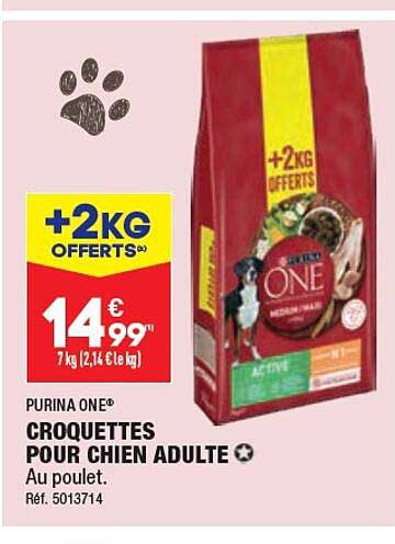 Purina One Croquettes Pour Chien Adulte
