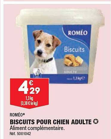 roméo biscuits pour chien adulte