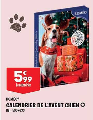 roméo calendrier de l'avent chien