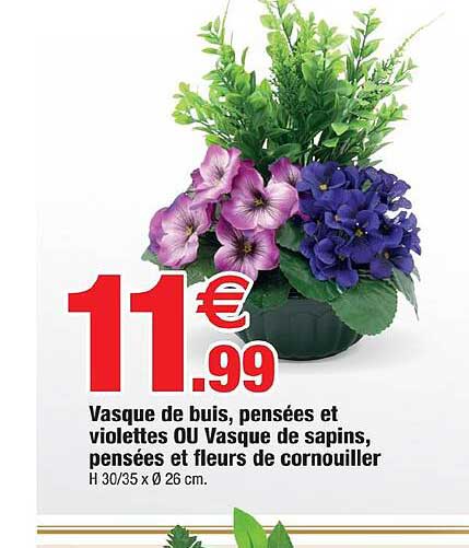 Vasque De Buis, Pensées Et Violettes Ou Vasque De Sapins, Pensées Et Fleurs De Cornouiller