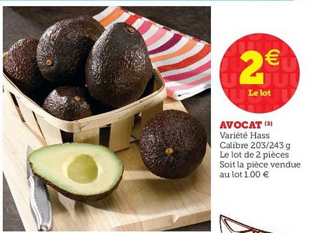 Avocat