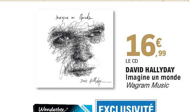 le cd david hallyday - imagine un monde