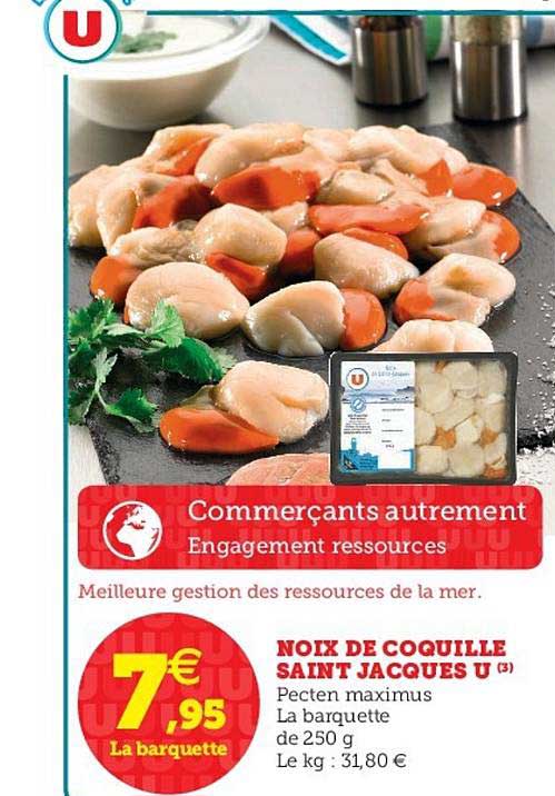 Noix De Coquille Saint Jacques U