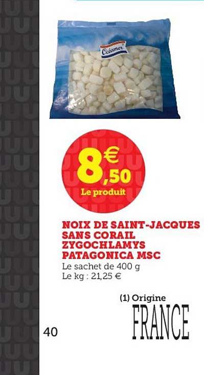 noix de saint jacques sans corail zygochlamys patagonica msc