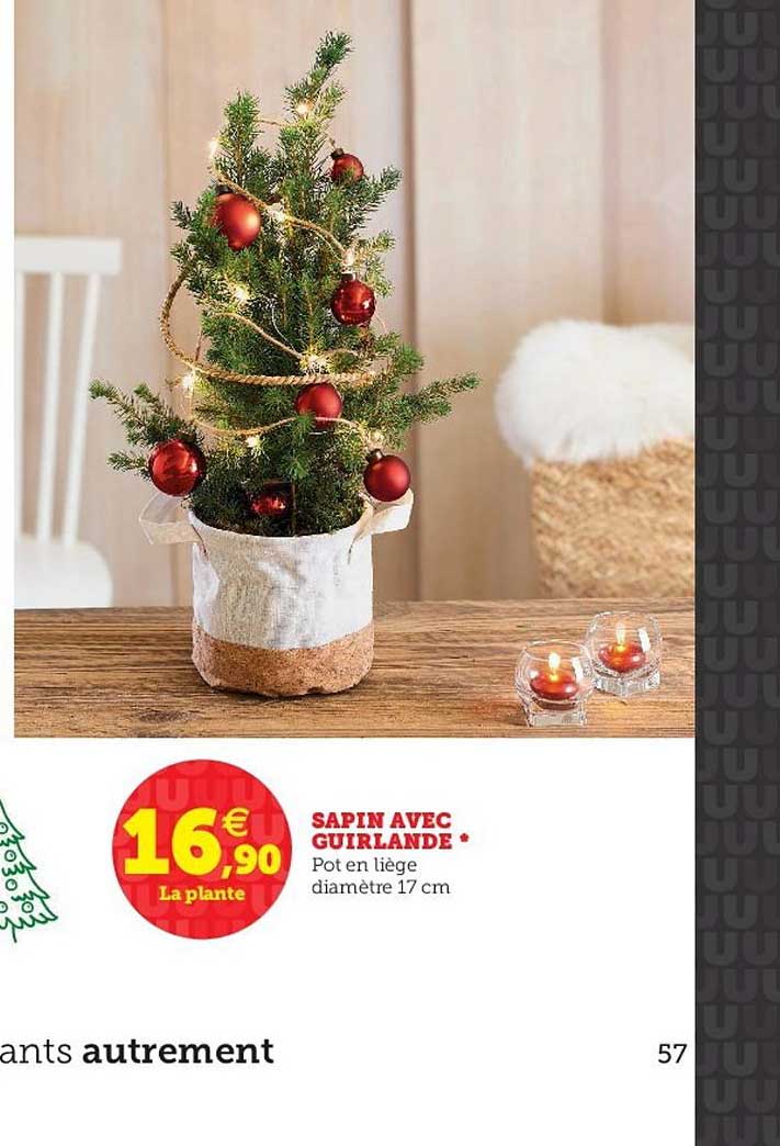 Sapin Avec Guirlande